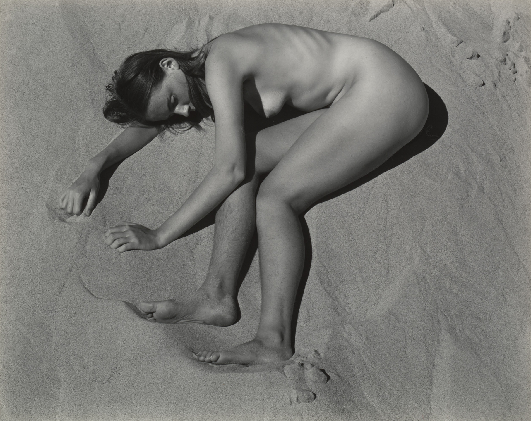 Edward Weston Nudes Edward Weston Nudes